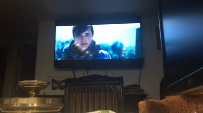 The Chronicles of Narnia: Prince Caspian (2008 DVD)