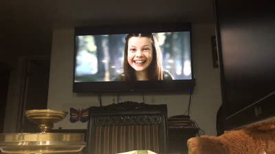 The Chronicles of Narnia: Prince Caspian (2008 DVD)