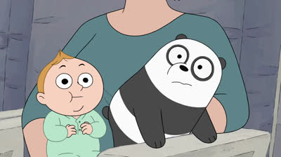 We aré bears By plane