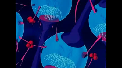 Robotech southern cross epi 22