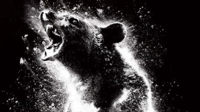 Cocaine Bear (2023)