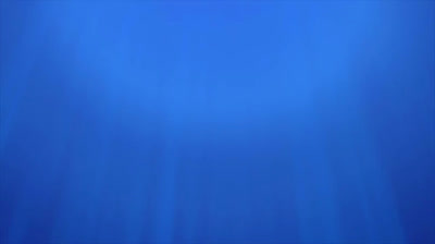 Godzilla singular point latino 5